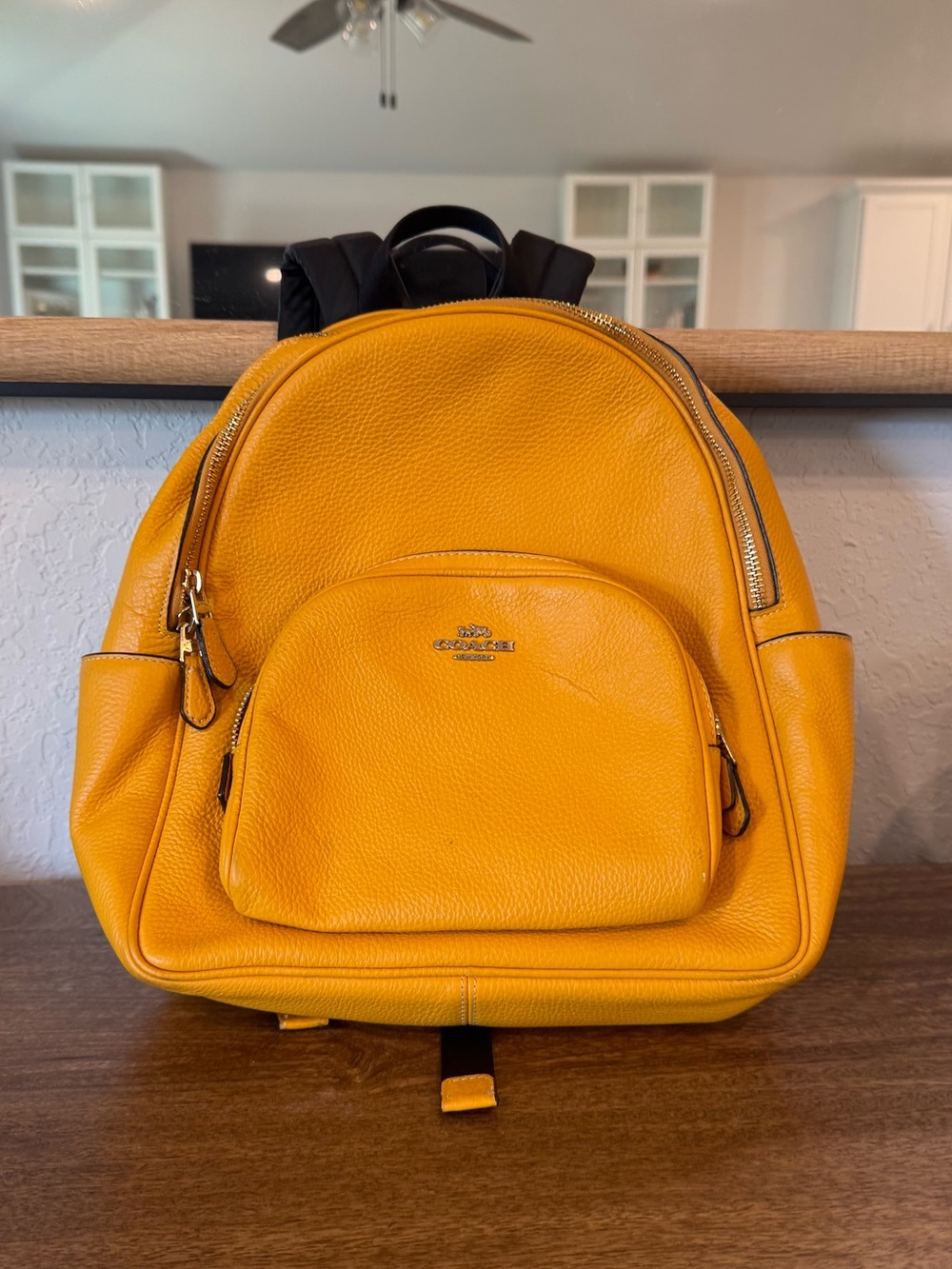 Leather Coach Backpack